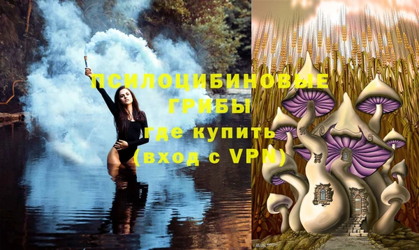 шишки Бронницы