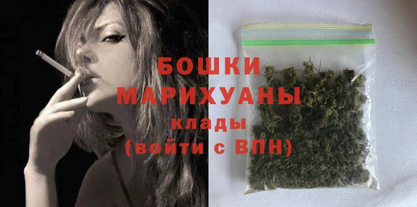 шишки Бронницы