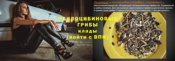 прущая мука Богданович
